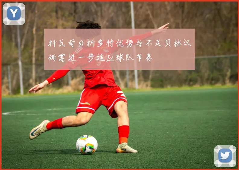 科瓦奇分析多特优势与不足贝林汉姆需进一步适应球队节奏
